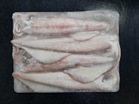 fresh squid in ice cubes